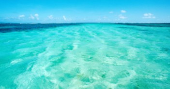 Immobilier en outre-mer : Martinique ou Guadeloupe ?