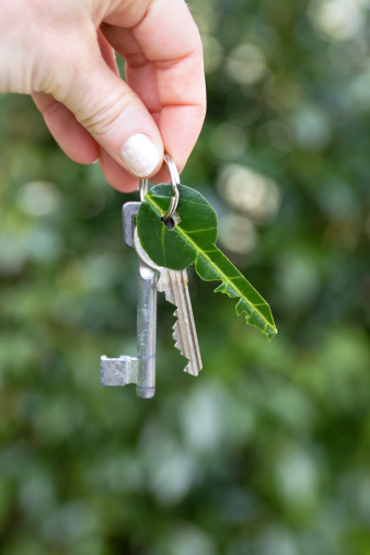 Les futures maisons seront encore plus écologiques avec la RT 2020