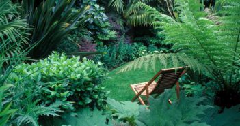 amenager-petit-jardin-conseils-astuces-mode-demploi-transat